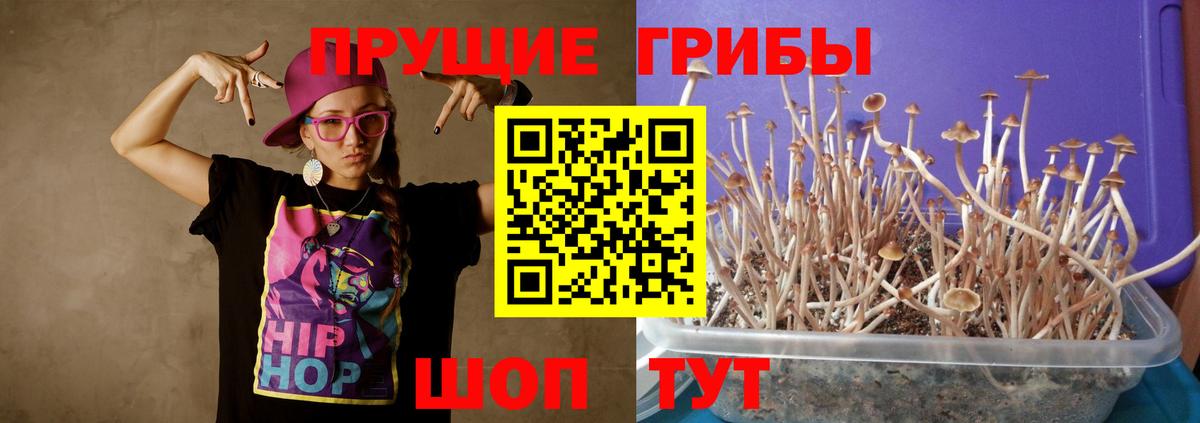 Галлюциногенные грибы ЛСД Сосновый Бор
