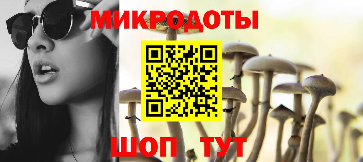 Галлюциногенные грибы Cubensis  Вход с VPN  Сосновый Бор 
